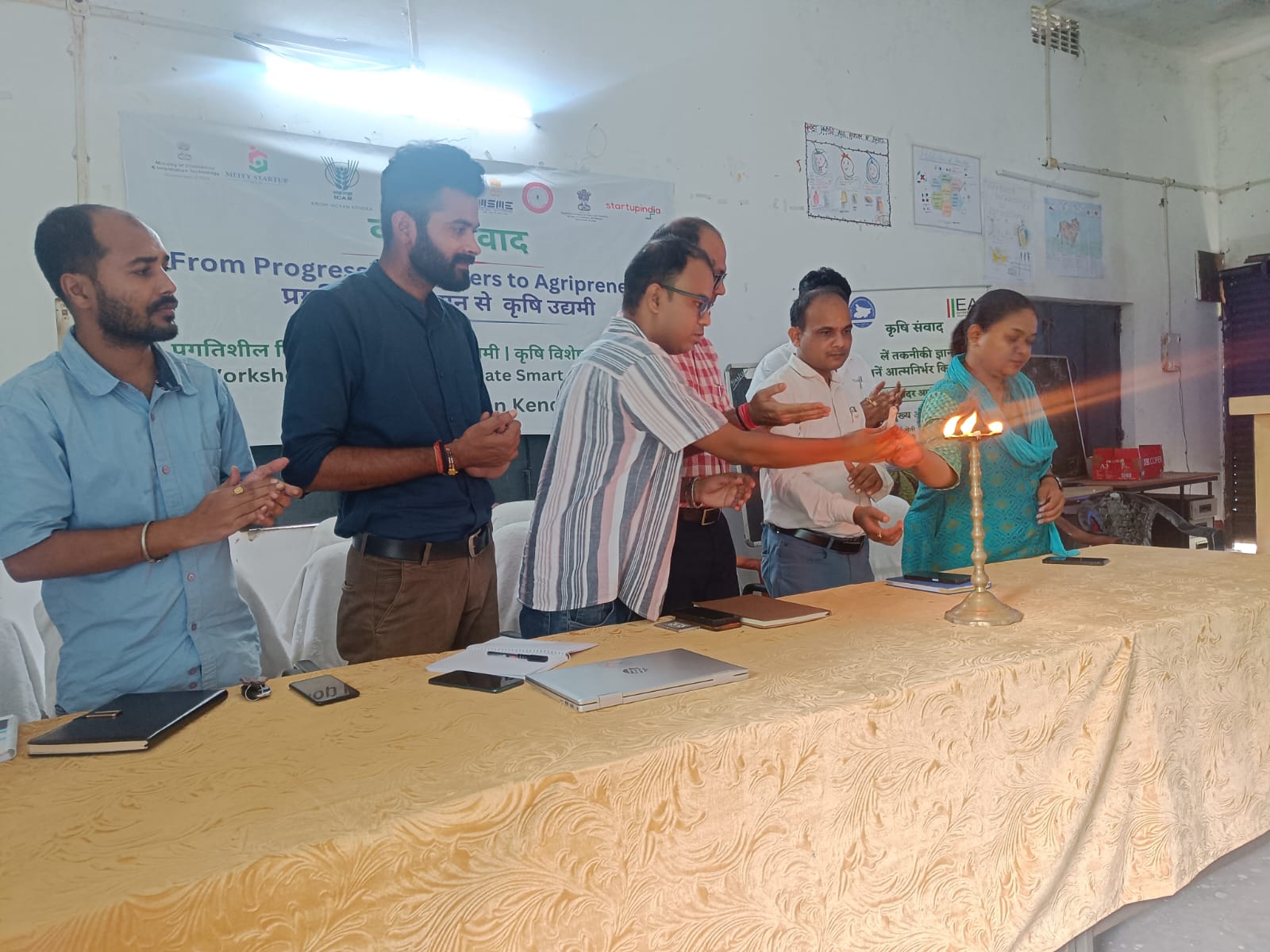 Organic baby corn growing in farm field in Bihar
